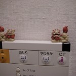 DSCN2239