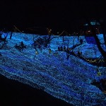 PC185483