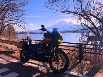 エントリーNo.18 FXLRST