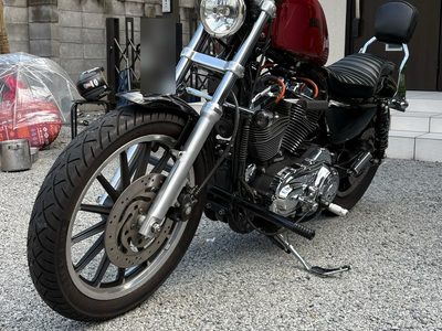 エントリーNo.46 XL1200L