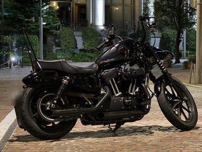エントリーNo.71 XL1200NS