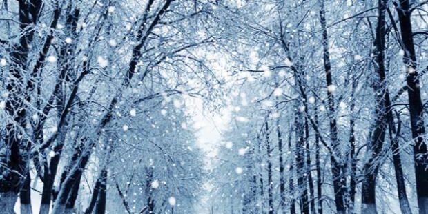 rapture_20161127235308