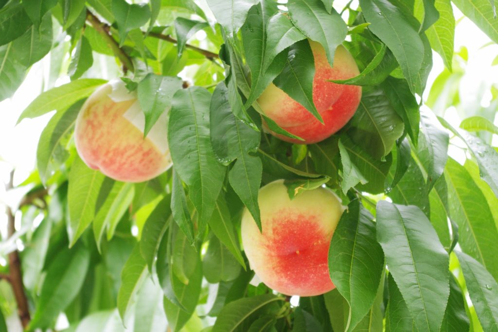 389bc5d5a653b911bf974760c8055346_m