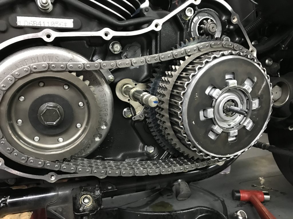 IMG_1553