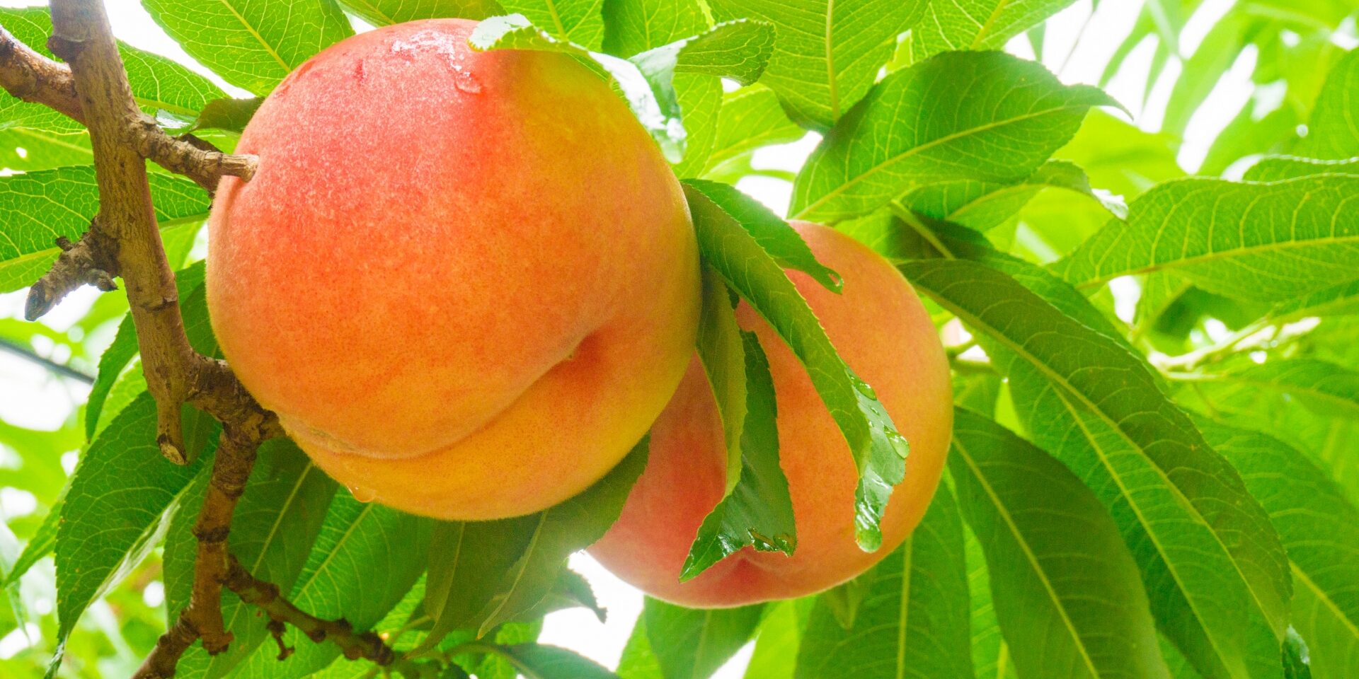 5da2d255f7089e835867aaad81e0a0c9_m