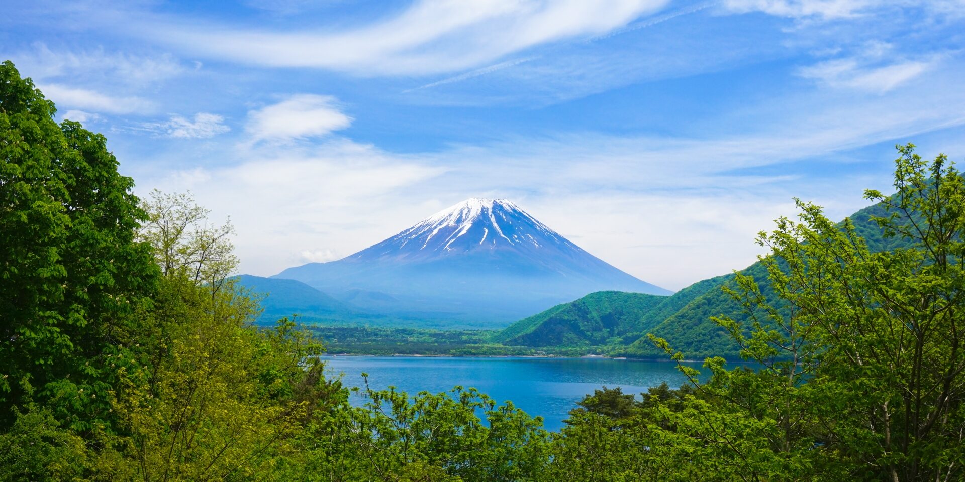 fa78e895bdd03f9adba698d2b5268773_m