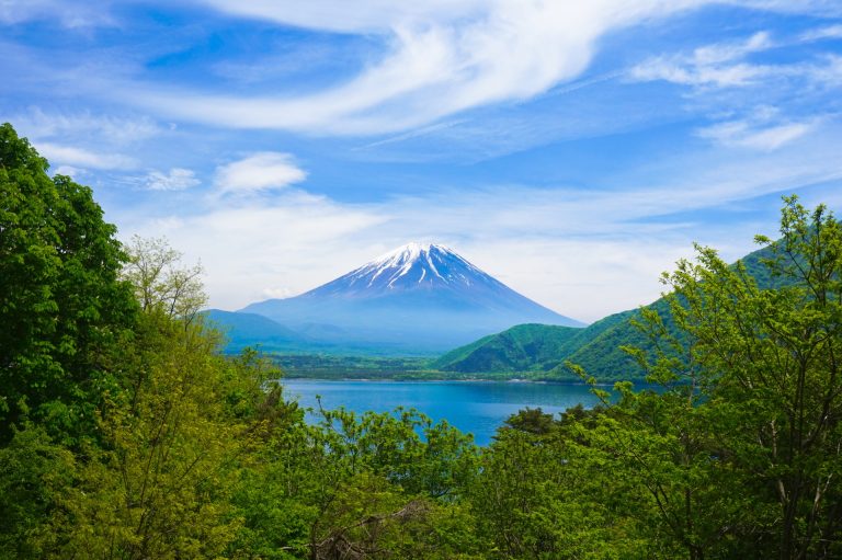 fa78e895bdd03f9adba698d2b5268773_m