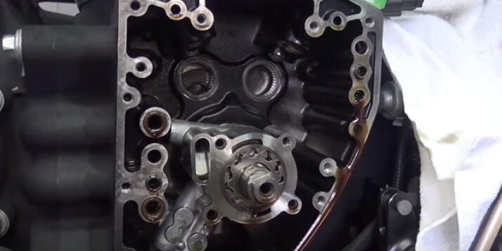 rapture_20190321142947