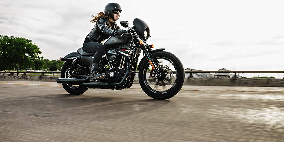 17-hd-iron-883-9-large