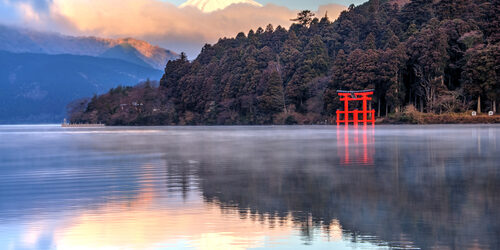 c26ace40-5252-4a8a-9f92-b36fb0040f1d