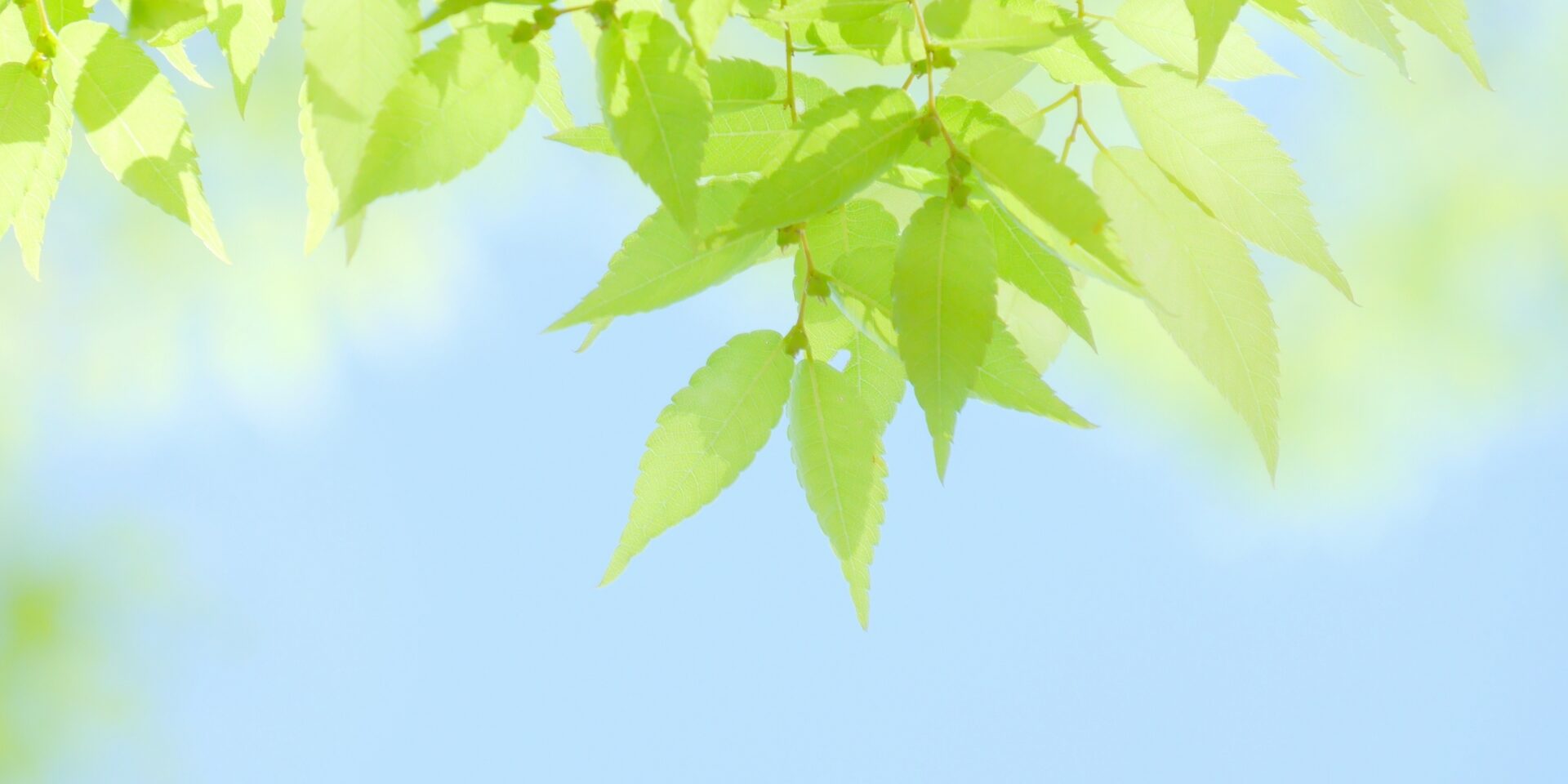 023f59a91a5aa9533c82c0ac4c0a611f_m