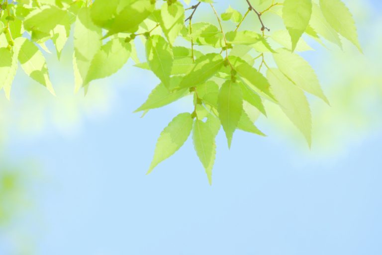 023f59a91a5aa9533c82c0ac4c0a611f_m