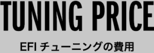 TUNING PRICE