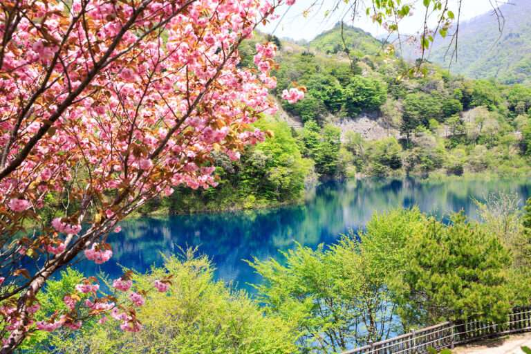 okushimako_03