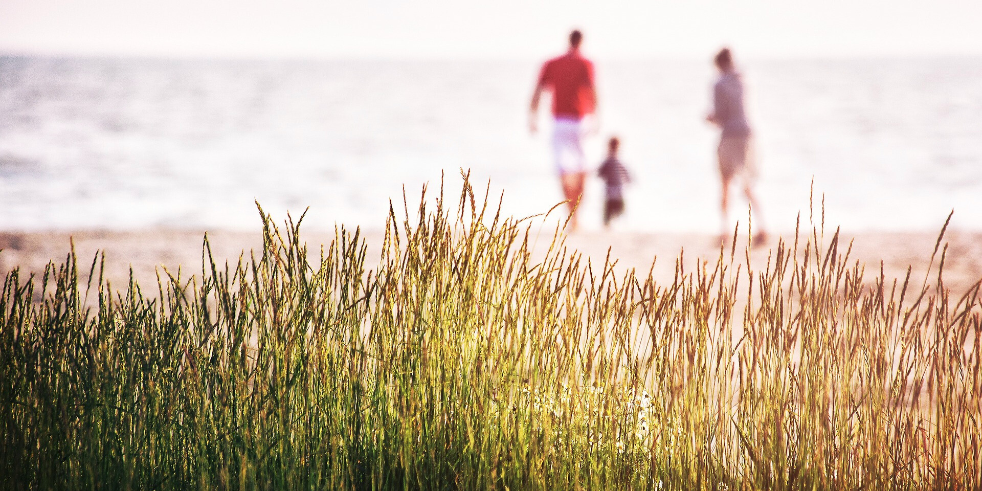 名称未設定のデザイン