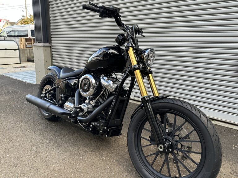 hd-fxbb-demo-gold-fork-front-right